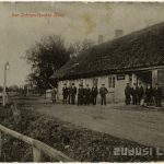 Pupe. Zdj. Zudusi Latvija