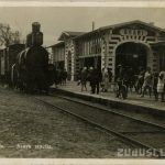 Asari. Zdj. Zudusi Latvija