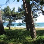 Nad brzegiem w Binz. Zdj. Tomasz Otocki