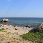 Przyroda wyspy Naissaar. Zdj. Kazimierz Popławski