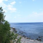 Przyroda wyspy Naissaar. Zdj. Kazimierz Popławski