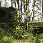 Pozostałości po dawnych instalacjach militarnych na wyspie Naissaar. Zdj. Kazimierz Popławski