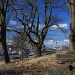 5 – Stary Cmentarz