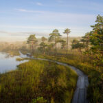 Park Narodowy Soomaa. Jezioro o poranku. Zdj. Sven Zacek / Brand Estonia.