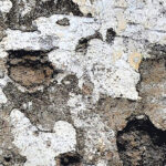 Fragment okładki „Żmuty”