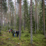 Nieformalne spotkanie dotyczące polityki leśnej zorganizowane przez szwedzką prezydencję w UE w lesie w pobliżu Skellefteå w Szwecji, maj 2023 r. Zdj. Swedish Presidency of the Council of the EU / Flickr / CC BY-ND 2.0.