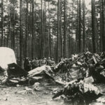 Miejsce katastrofy lotu Steponasa Dariusa i Stasysa Girėnasa. Zdj. Muzeum Wojskowe im. Witolda Wielkiego.