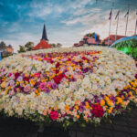Festiwal Róż w Tukums. Rekordowy różany wieniec. Zdj. Andris Jermuts.